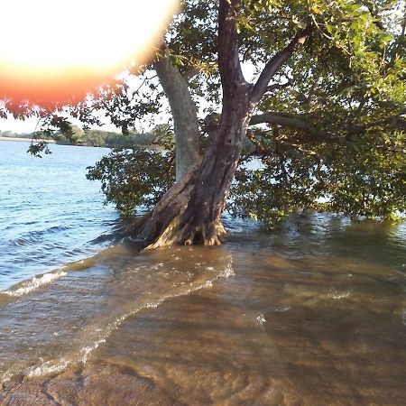 Niduwari Lake Homestay Дамбулла Екстер'єр фото