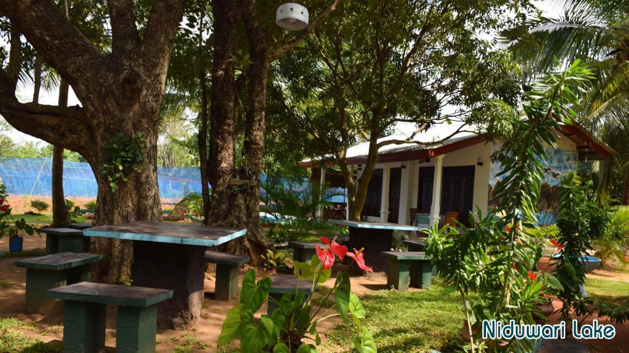 Niduwari Lake Homestay Дамбулла Екстер'єр фото